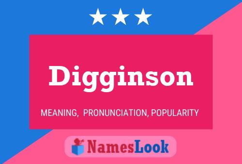 Digginson 名字海报