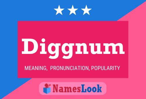 Diggnum 名字海报