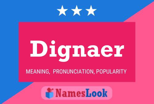 Dignaer 名字海报