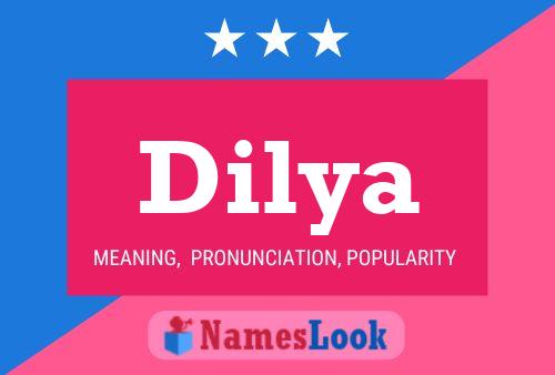 Dilya 名字海报