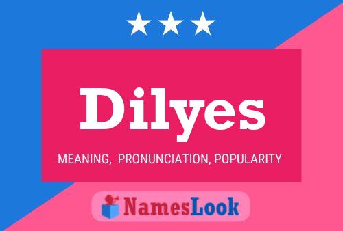 Dilyes 名字海报