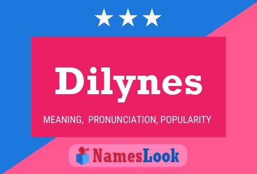 Dilynes 名字海报