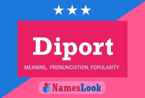 Diport 名字海报