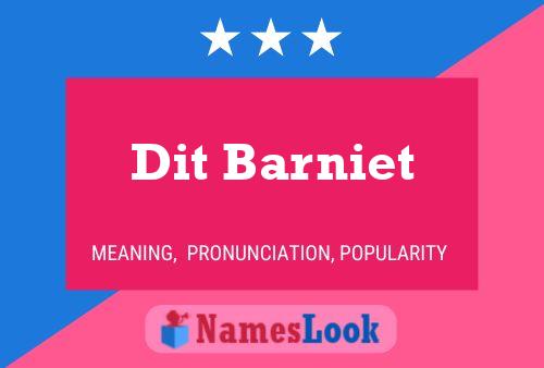 Dit Barniet 名字海报