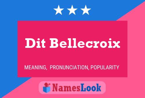 Dit Bellecroix 名字海报