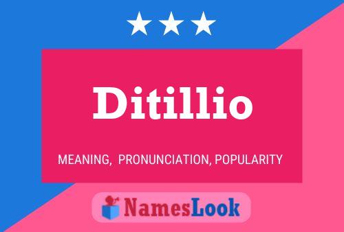 Ditillio 名字海报