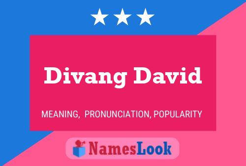 Divang David 名字海报