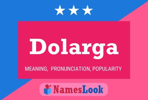 Dolarga 名字海报