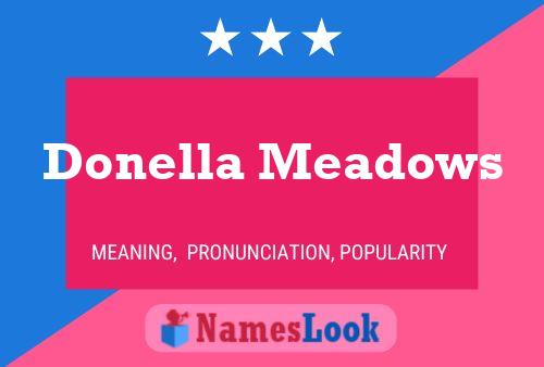 Donella Meadows 名字海报