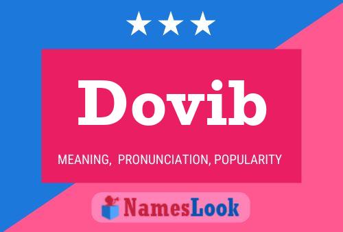 Dovib 名字海报