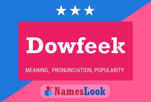 Dowfeek 名字海报