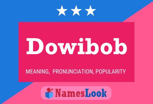 Dowibob 名字海报