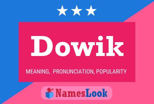 Dowik 名字海报