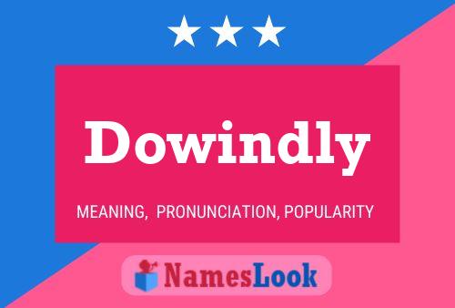 Dowindly 名字海报