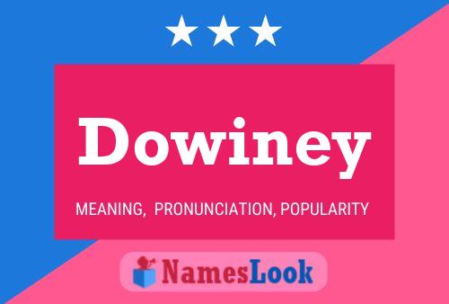 Dowiney 名字海报