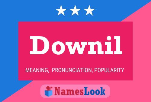 Downil 名字海报