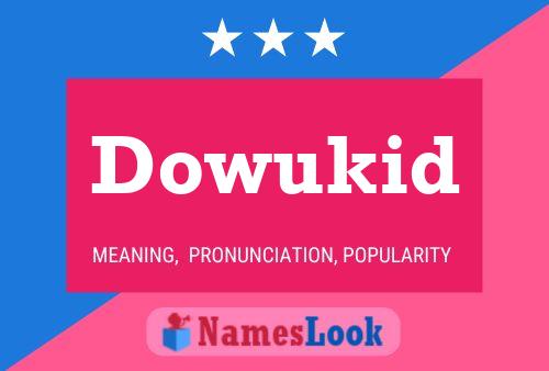 Dowukid 名字海报