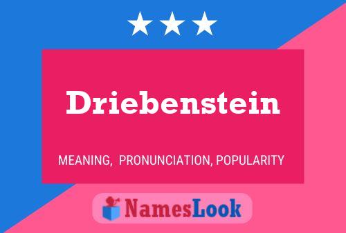 Driebenstein 名字海报