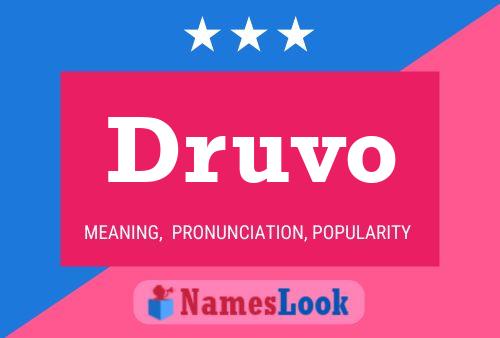 Druvo 名字海报