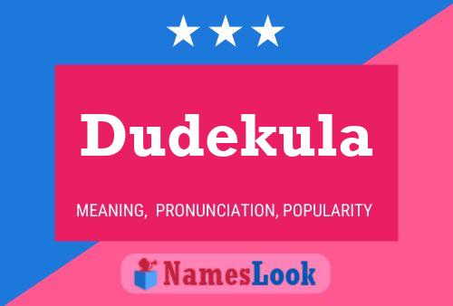 Dudekula 名字海报