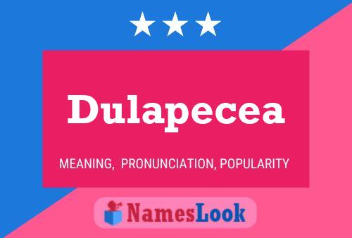 Dulapecea 名字海报