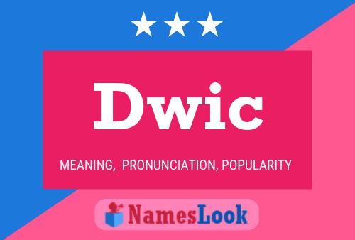 Dwic 名字海报