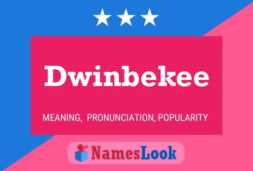 Dwinbekee 名字海报