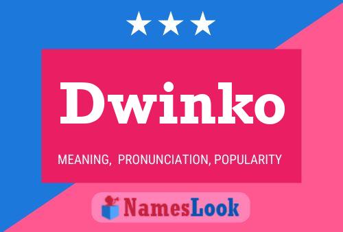 Dwinko 名字海报