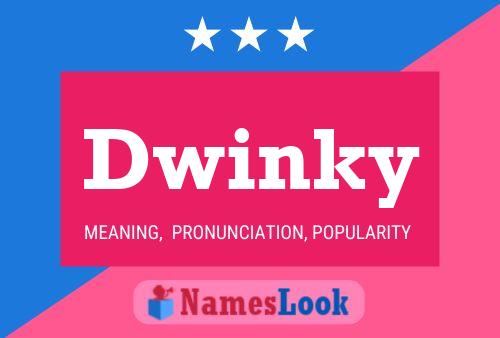 Dwinky 名字海报