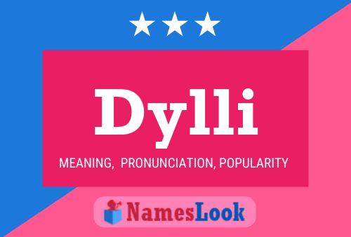 Dylli 名字海报