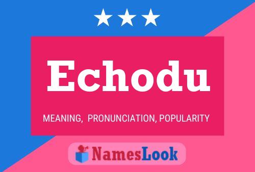 Echodu 名字海报