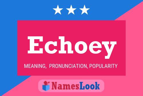 Echoey 名字海报