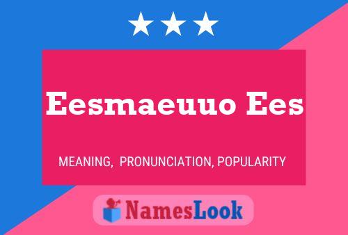 Eesmaeuuo Ees 名字海报