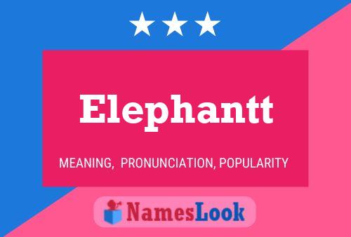 Elephantt 名字海报