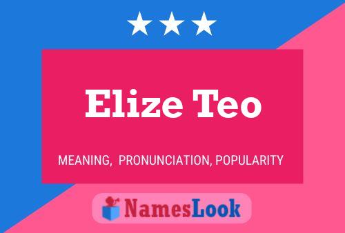 Elize Teo 名字海报