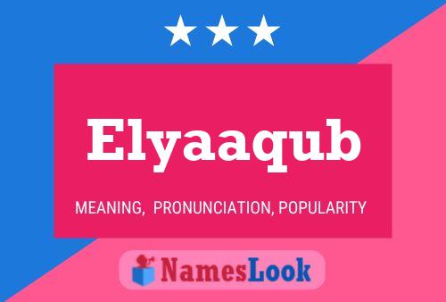 Elyaaqub 名字海报