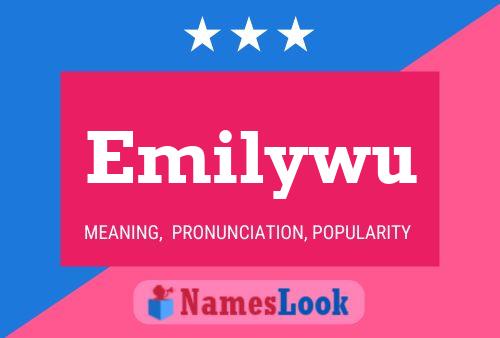 Emilywu 名字海报