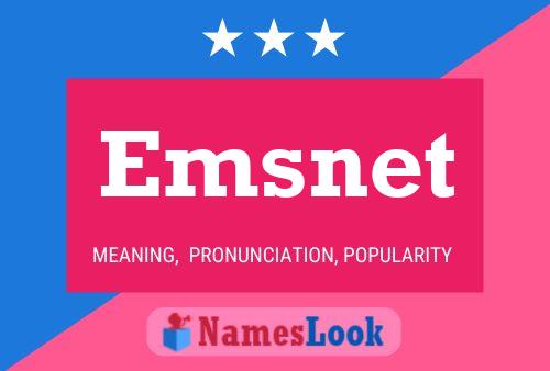 Emsnet 名字海报