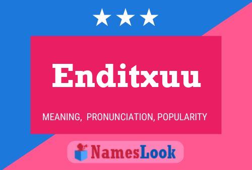 Enditxuu 名字海报