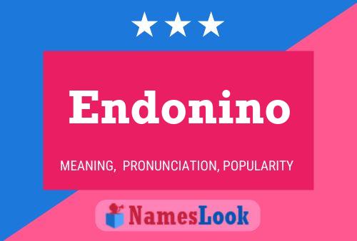 Endonino 名字海报