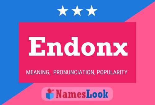 Endonx 名字海报