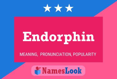 Endorphin 名字海报