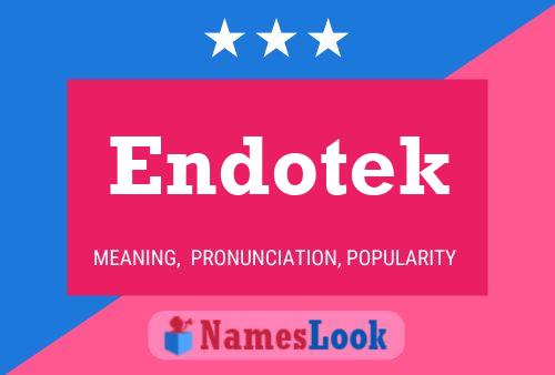 Endotek 名字海报