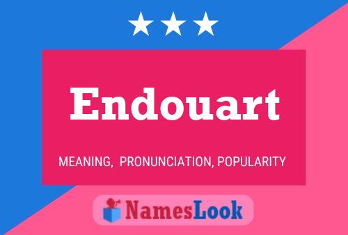 Endouart 名字海报