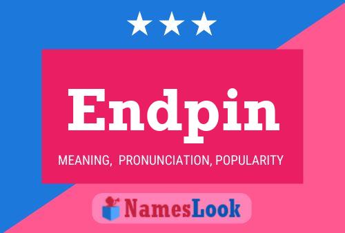 Endpin 名字海报