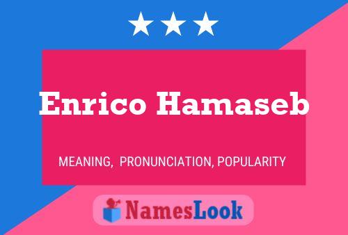 Enrico Hamaseb 名字海报