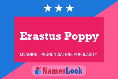 Erastus Poppy 名字海报