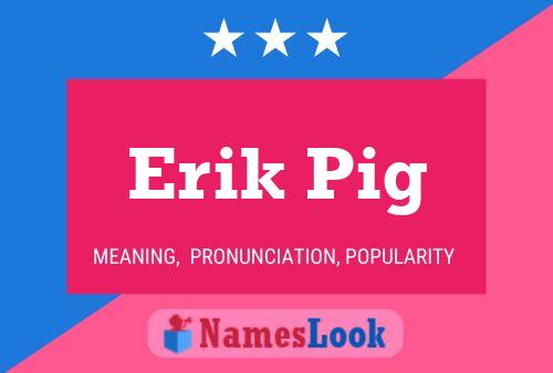 Erik Pig 名字海报