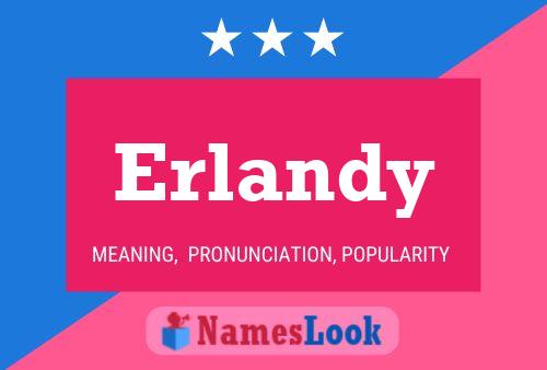 Erlandy 名字海报