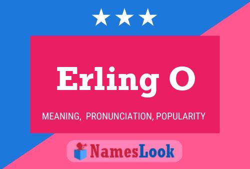 Erling O 名字海报